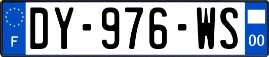 DY-976-WS