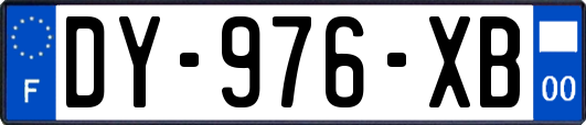 DY-976-XB