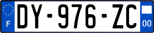 DY-976-ZC