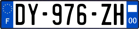 DY-976-ZH