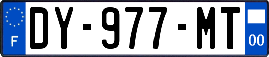 DY-977-MT