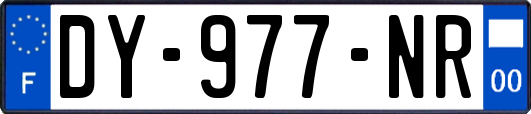 DY-977-NR