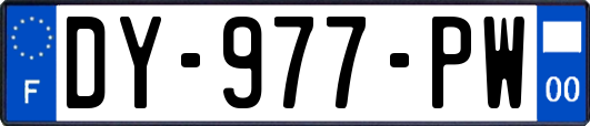 DY-977-PW