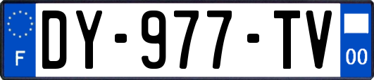 DY-977-TV