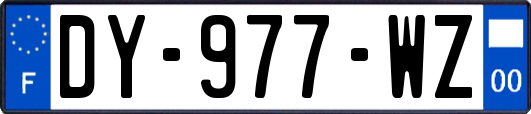 DY-977-WZ