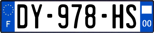 DY-978-HS