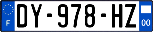 DY-978-HZ