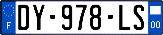 DY-978-LS