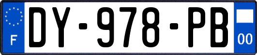 DY-978-PB