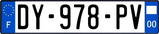 DY-978-PV