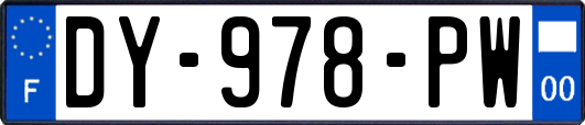 DY-978-PW