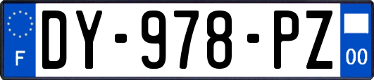 DY-978-PZ