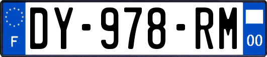 DY-978-RM