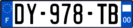 DY-978-TB