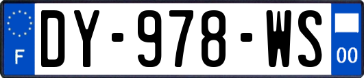 DY-978-WS