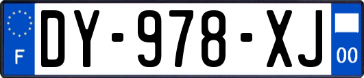 DY-978-XJ