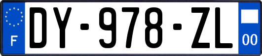 DY-978-ZL