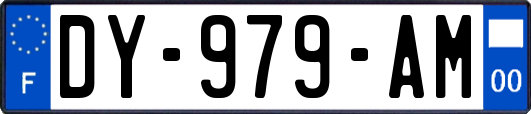 DY-979-AM