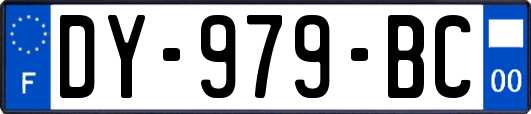 DY-979-BC