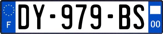 DY-979-BS