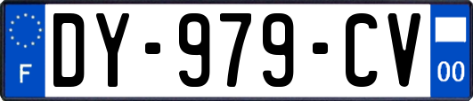 DY-979-CV