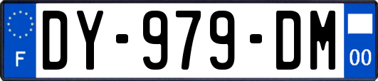 DY-979-DM