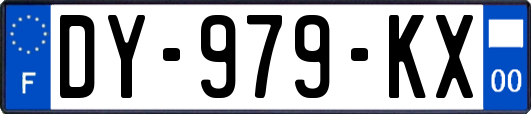 DY-979-KX