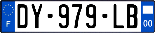 DY-979-LB
