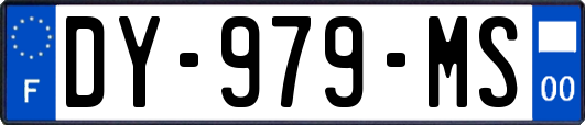 DY-979-MS
