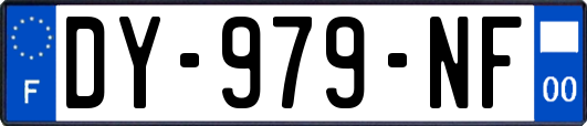 DY-979-NF