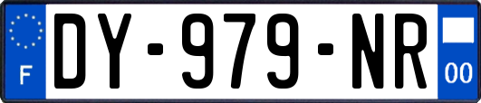 DY-979-NR