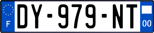 DY-979-NT