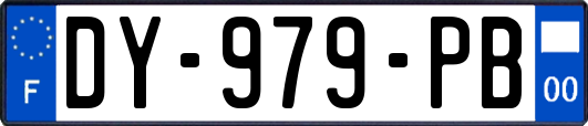 DY-979-PB