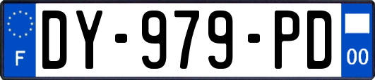 DY-979-PD