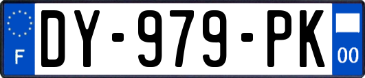 DY-979-PK