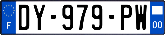 DY-979-PW