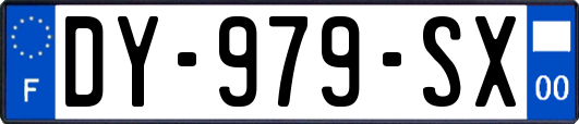 DY-979-SX