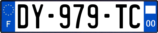 DY-979-TC