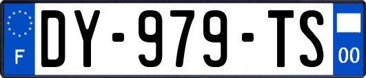 DY-979-TS