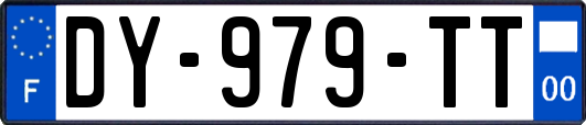 DY-979-TT