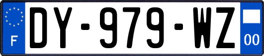 DY-979-WZ