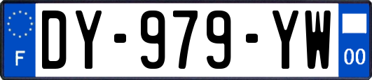 DY-979-YW