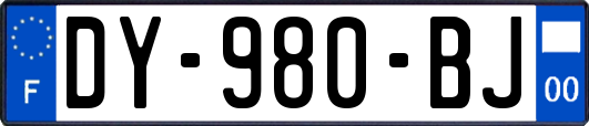 DY-980-BJ
