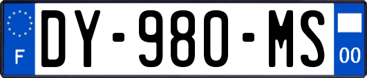 DY-980-MS