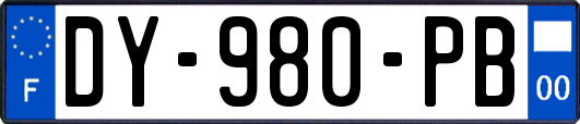 DY-980-PB
