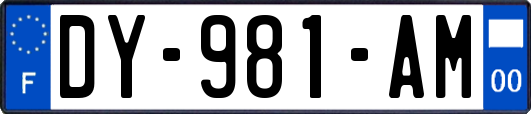 DY-981-AM