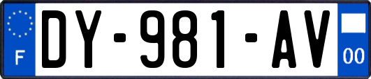DY-981-AV