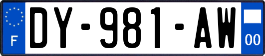 DY-981-AW