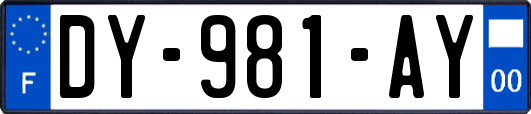 DY-981-AY