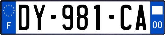 DY-981-CA